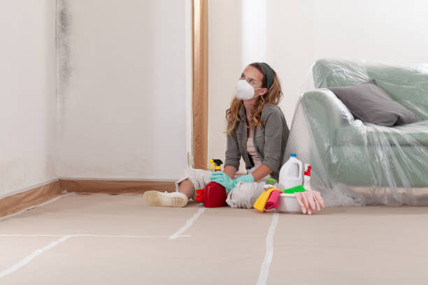 Reliable Mold Removal contractor in Woodstock, GA by WQB Mold Removal